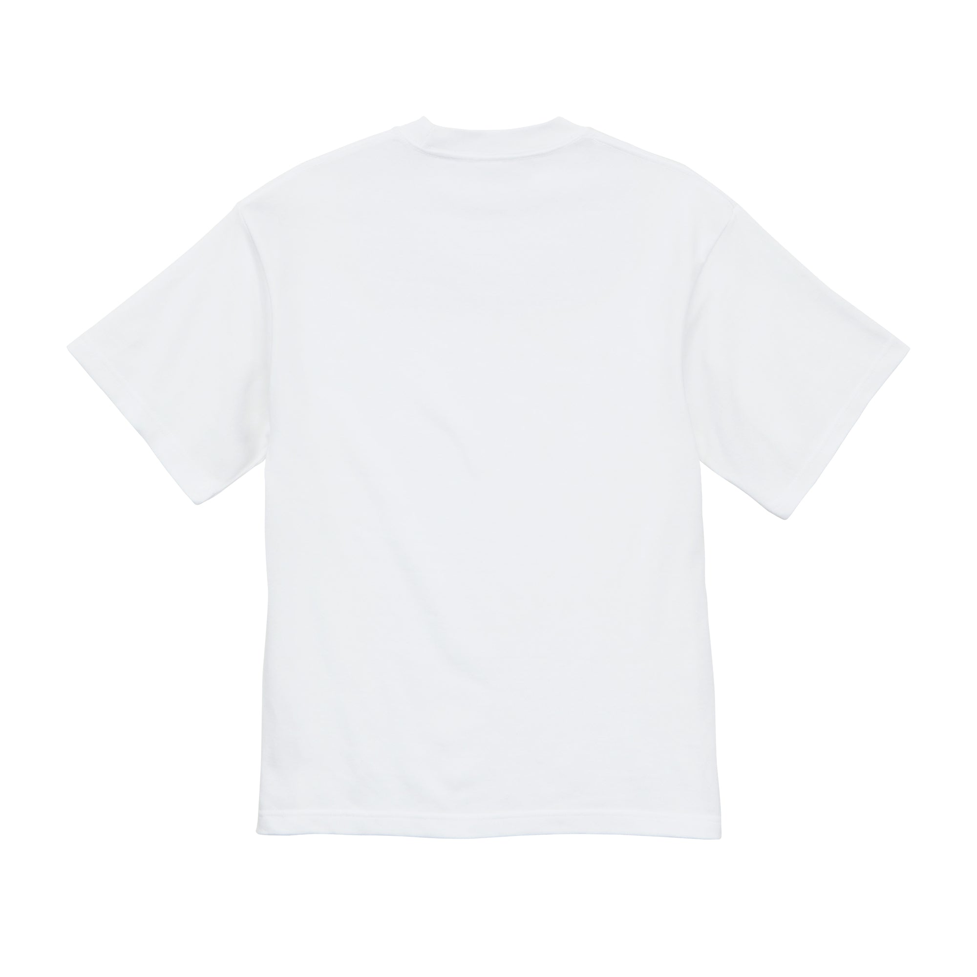 Chureito Fuji Pagoda Landscape | Embroidered 300GSM Organic Cotton T shirt