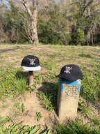 One Piece Straw Hat Pirates Embroidered Flat Brim Baseball Cap