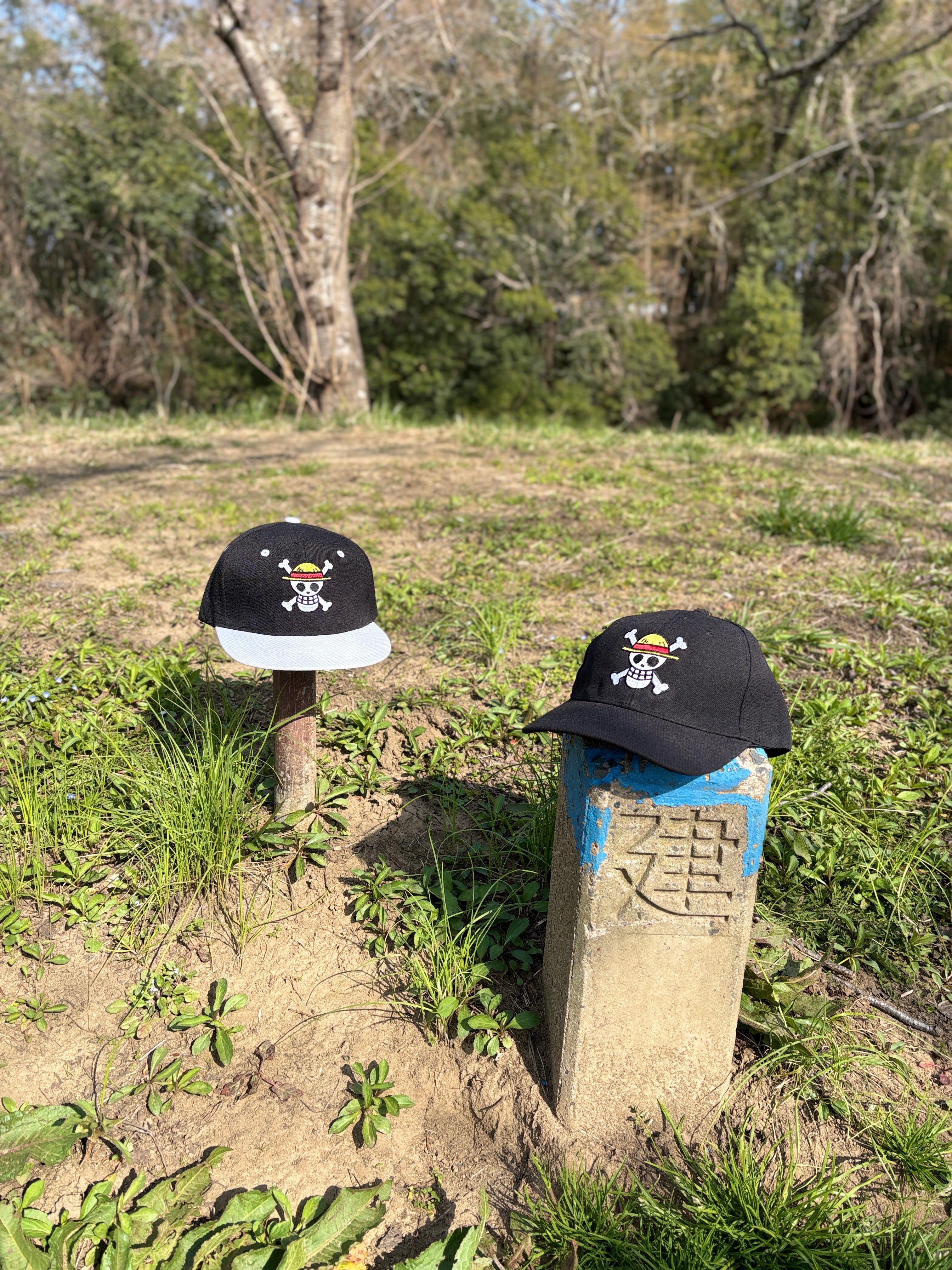 One Piece Straw Hat Pirates Embroidered Flat Brim Baseball Cap