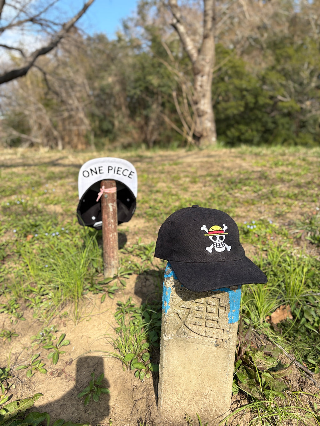 One Piece Straw Hat Pirates Embroidered Flat Brim Baseball Cap