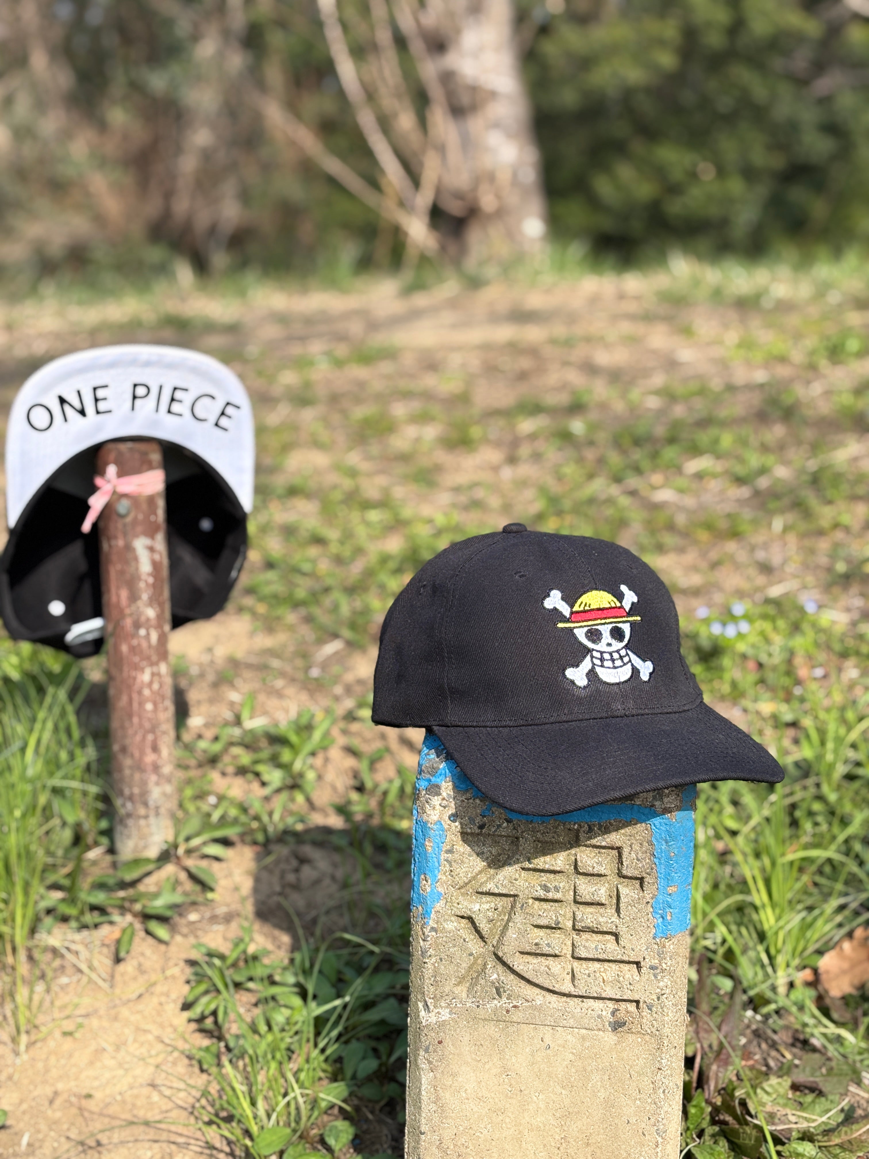 One Piece Straw Hat Pirates Embroidered Flat Brim Baseball Cap