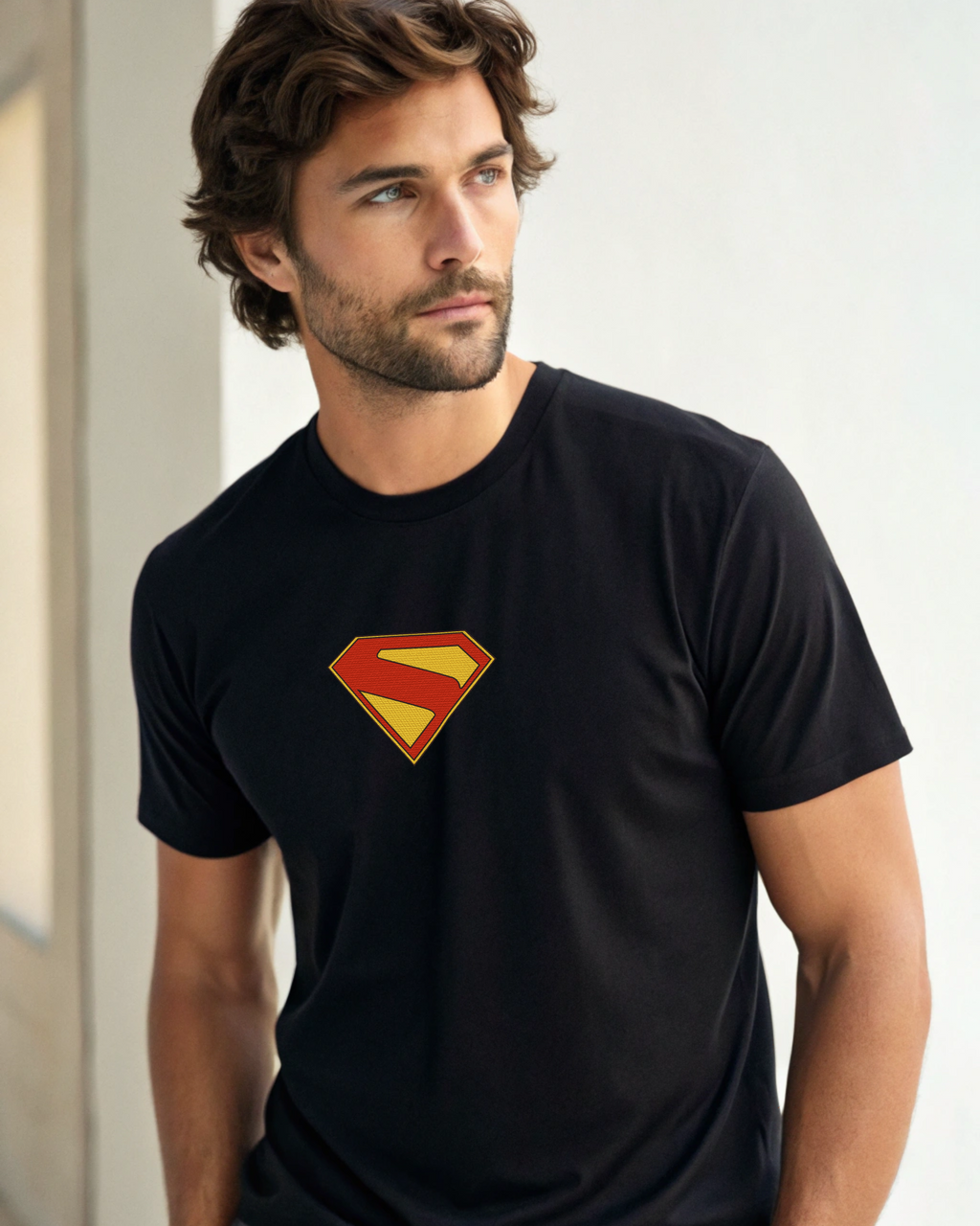 Supermannn CHREST Embroidery Hoodie | Sweatshirt | T-shirt